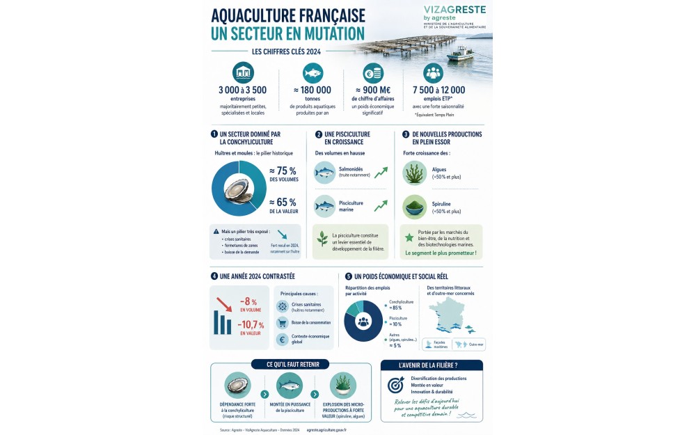 Aquaculture en France : chiffres clés, production et enjeux de la filière